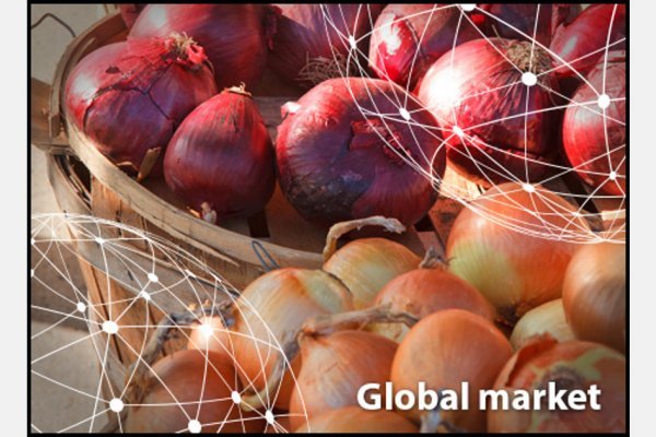 Kraken рабочее зеркало onion