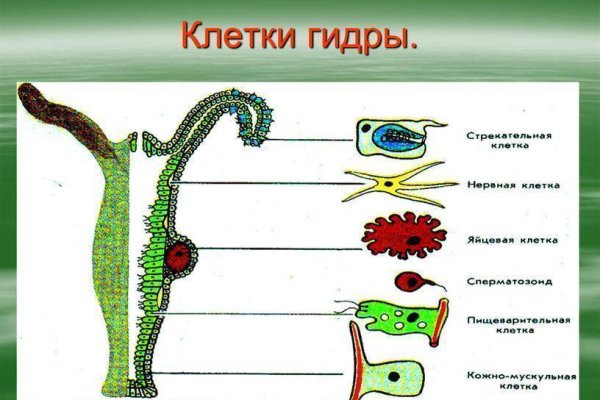 Kraken istand onion ссылка