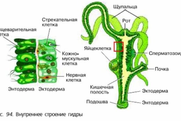 Ссылка кракен kr2web in