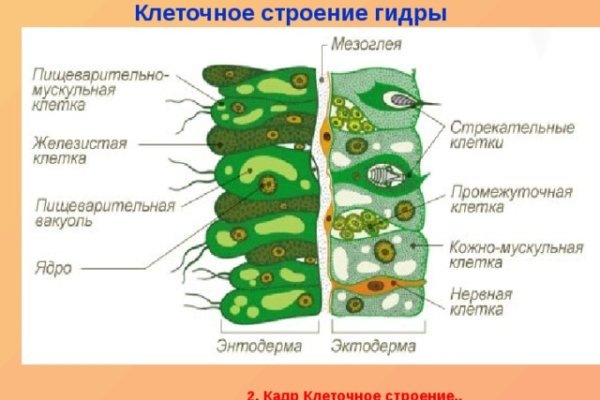 Что с кракеном сегодня сайт