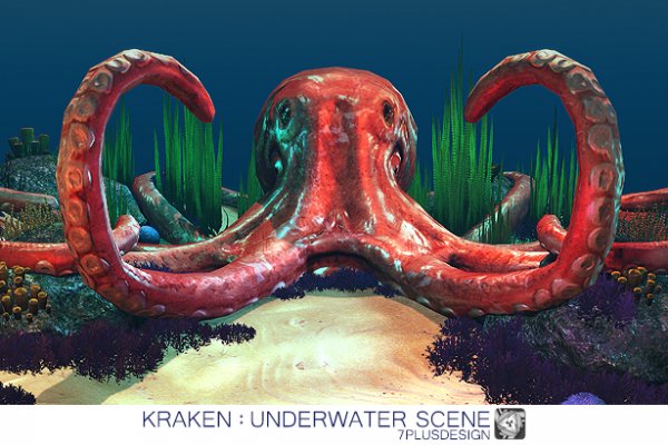 Kraken 17 at net