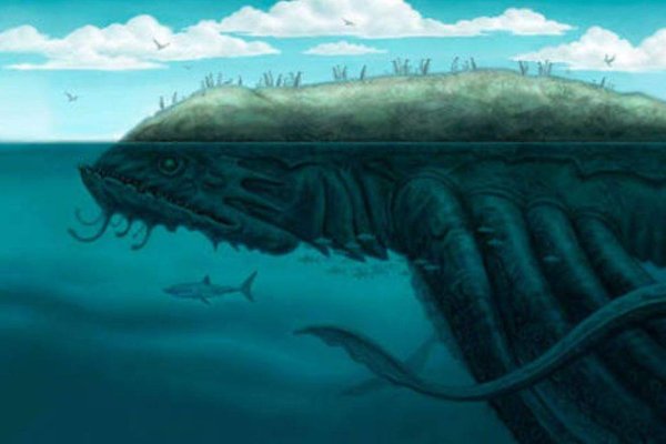 Kraken17 at