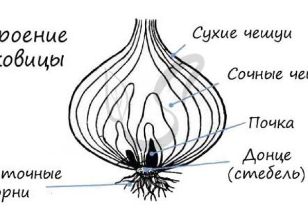 Кракен это современный даркнет маркет